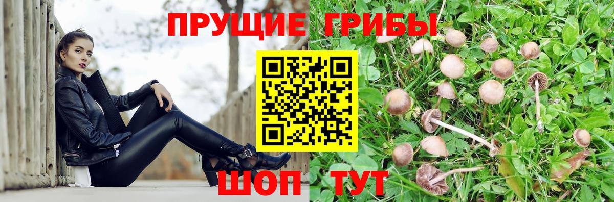 Галлюциногенные грибы MAGIC MUSHROOMS  Вход с VPN  Сосновый Бор  Галлюциногенные грибы Magic Shrooms 