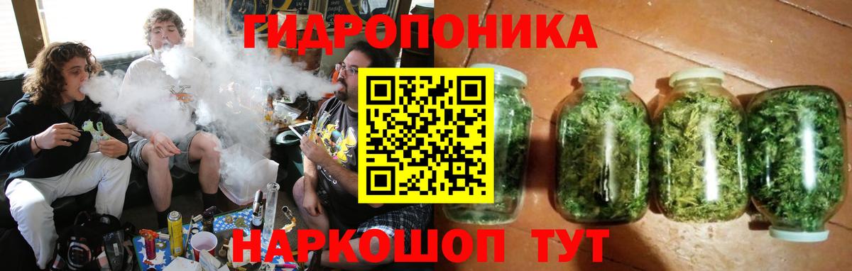Каннабис планчик  Вход с VPN  Конопля семена  Сосновый Бор  Канабис OG Kush 